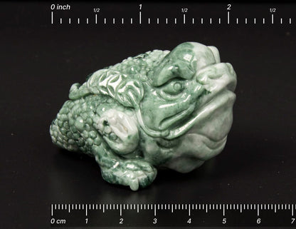 Jadeite Toad Tea Pet 2.1" | SC0126