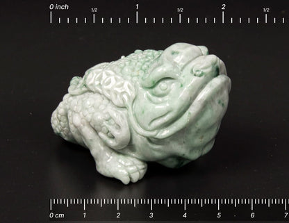 Jadeite Toad Tea Pet 2.1" | SC0127