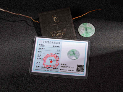 Jadeite Sample Disk | SC0266