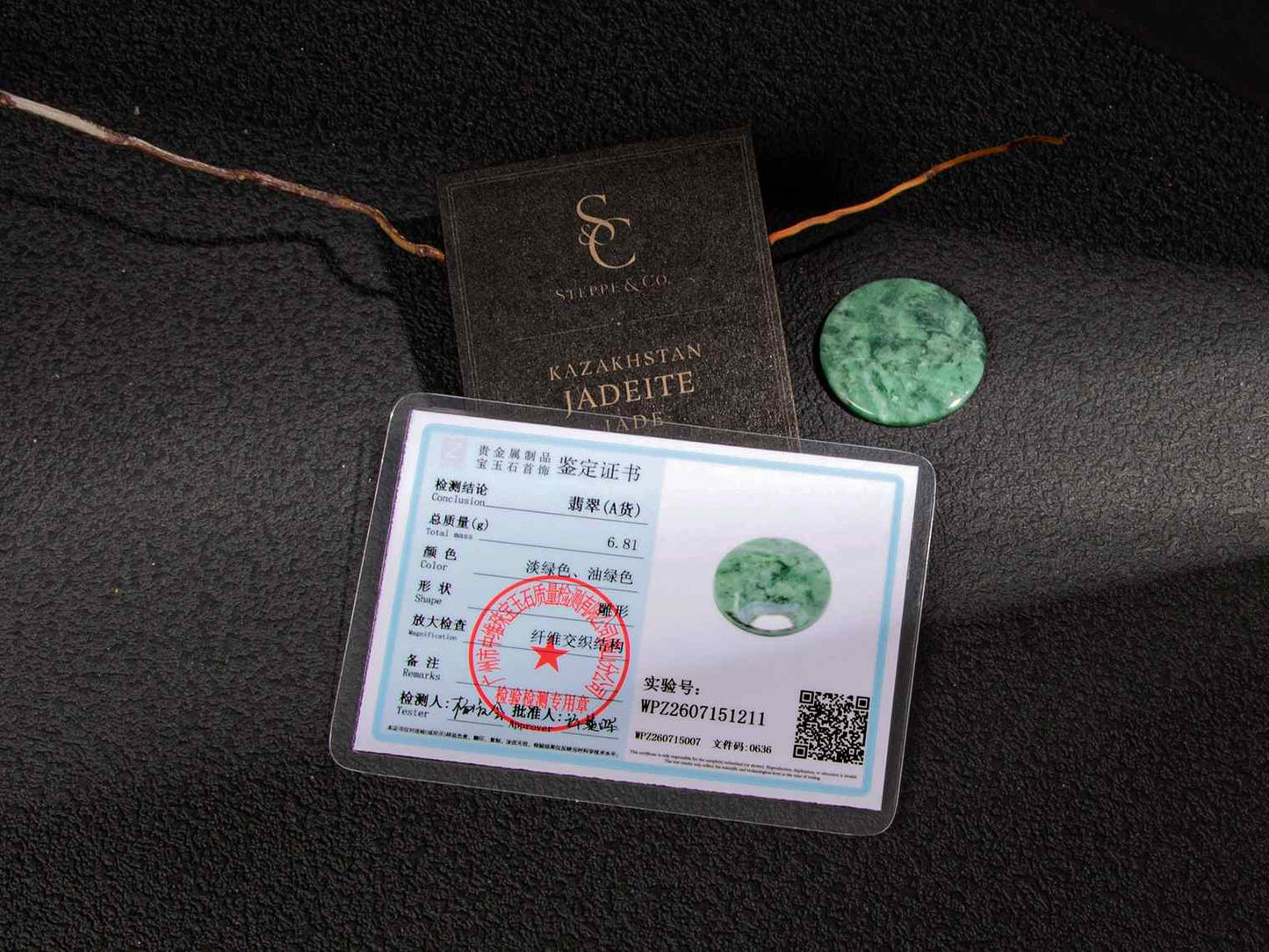 Jadeite Sample Disk | SC0267